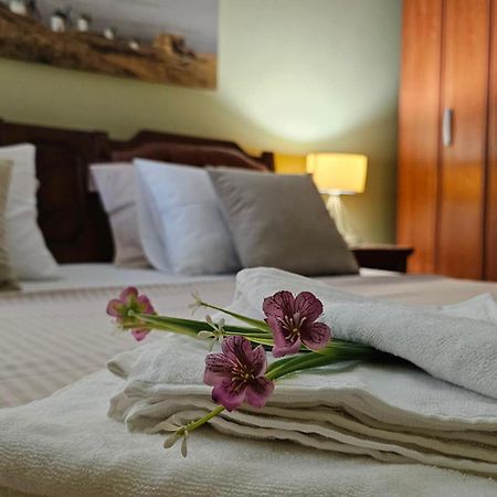 Lalovina Apartment Herceg Novi Luaran gambar